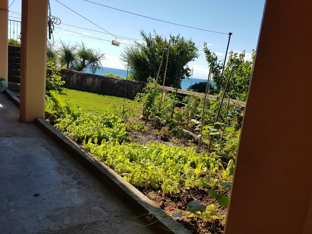 ☼Sunset Apartment Piran Eksteriør bilde